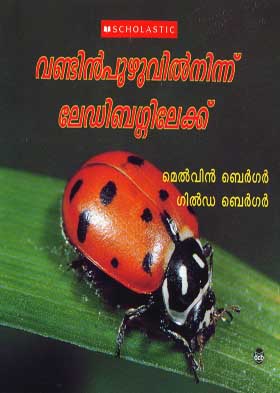 Text